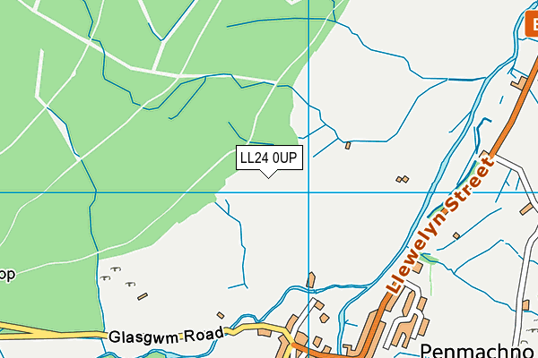LL24 0UP map - OS VectorMap District (Ordnance Survey)