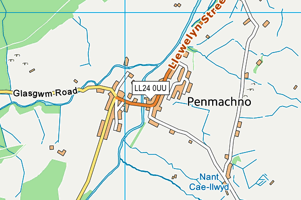 LL24 0UU map - OS VectorMap District (Ordnance Survey)