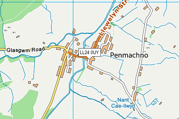 LL24 0UY map - OS VectorMap District (Ordnance Survey)
