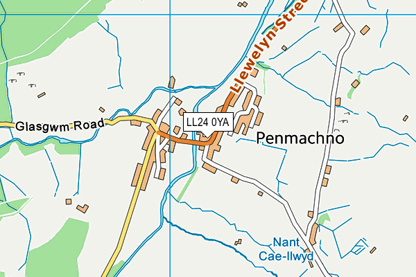 LL24 0YA map - OS VectorMap District (Ordnance Survey)