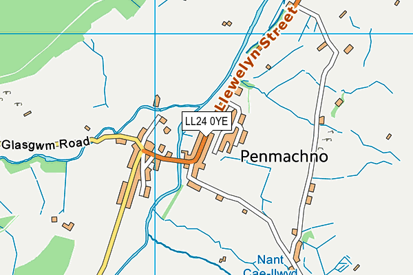 LL24 0YE map - OS VectorMap District (Ordnance Survey)