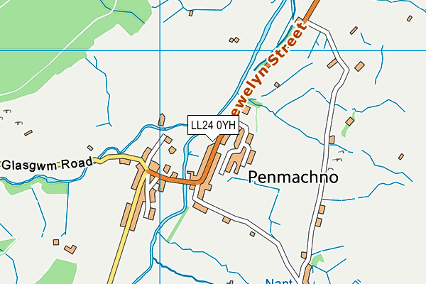 LL24 0YH map - OS VectorMap District (Ordnance Survey)