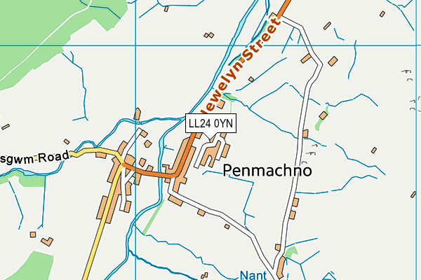 LL24 0YN map - OS VectorMap District (Ordnance Survey)
