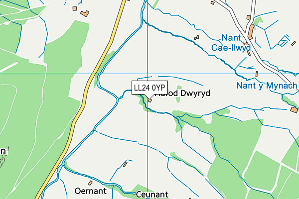 LL24 0YP map - OS VectorMap District (Ordnance Survey)