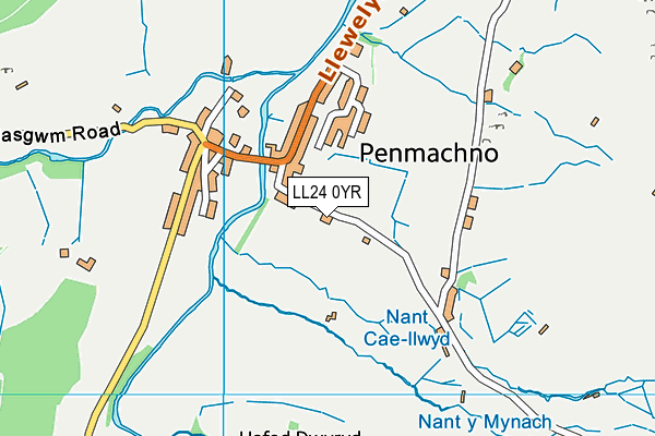 LL24 0YR map - OS VectorMap District (Ordnance Survey)