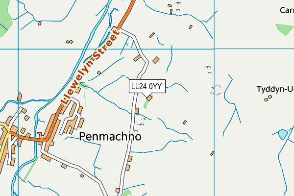 LL24 0YY map - OS VectorMap District (Ordnance Survey)