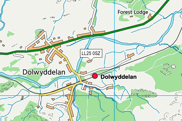Ysgol Dolwyddelan map (LL25 0SZ) - OS VectorMap District (Ordnance Survey)