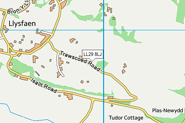 LL29 8LJ map - OS VectorMap District (Ordnance Survey)