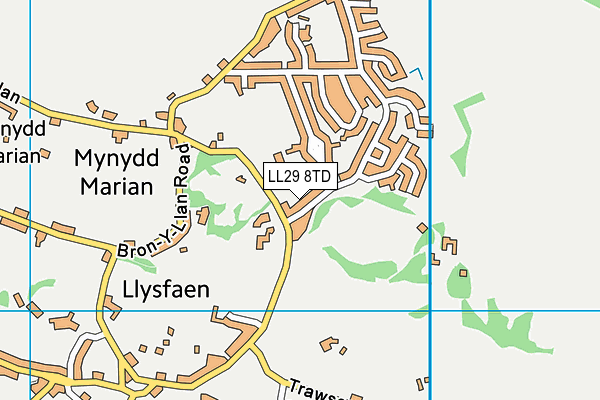 LL29 8TD map - OS VectorMap District (Ordnance Survey)