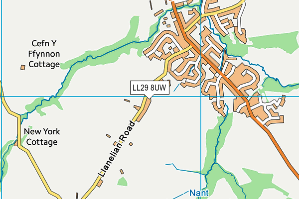 LL29 8UW map - OS VectorMap District (Ordnance Survey)