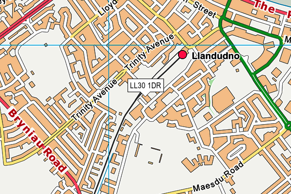 LL30 1DR map - OS VectorMap District (Ordnance Survey)