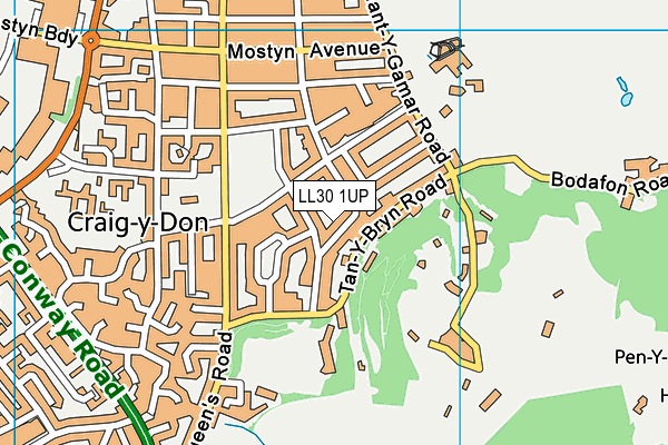 LL30 1UP map - OS VectorMap District (Ordnance Survey)