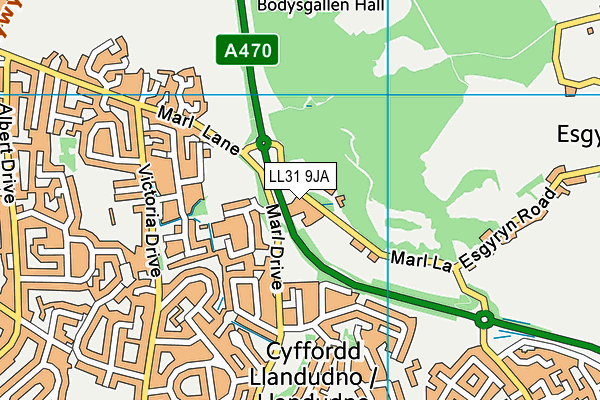 LL31 9JA map - OS VectorMap District (Ordnance Survey)