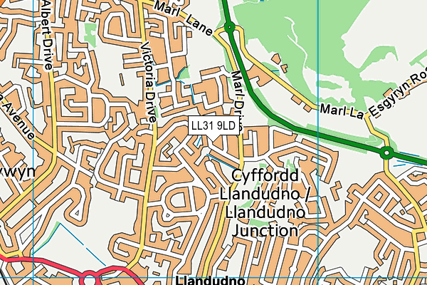 LL31 9LD map - OS VectorMap District (Ordnance Survey)