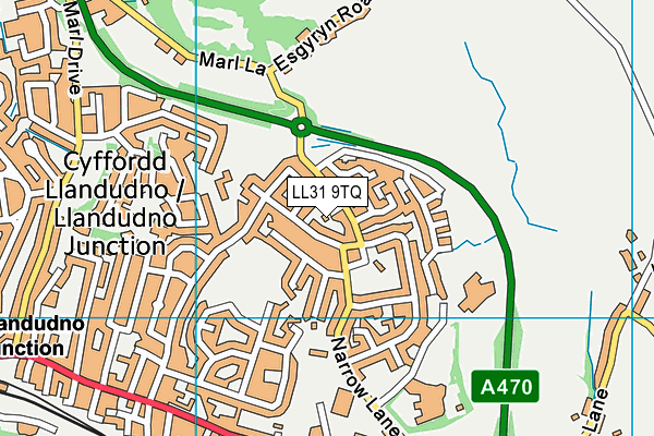 LL31 9TQ map - OS VectorMap District (Ordnance Survey)