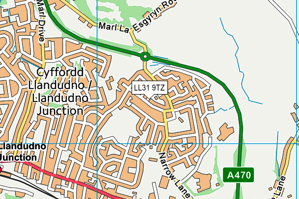 LL31 9TZ map - OS VectorMap District (Ordnance Survey)