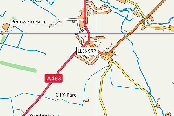 LL36 9RP map - OS VectorMap District (Ordnance Survey)