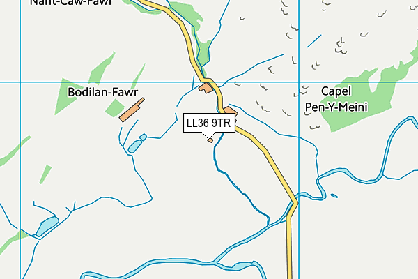 LL36 9TR map - OS VectorMap District (Ordnance Survey)