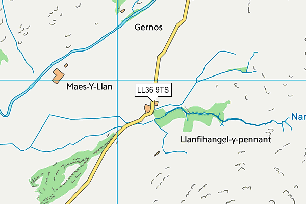 LL36 9TS map - OS VectorMap District (Ordnance Survey)