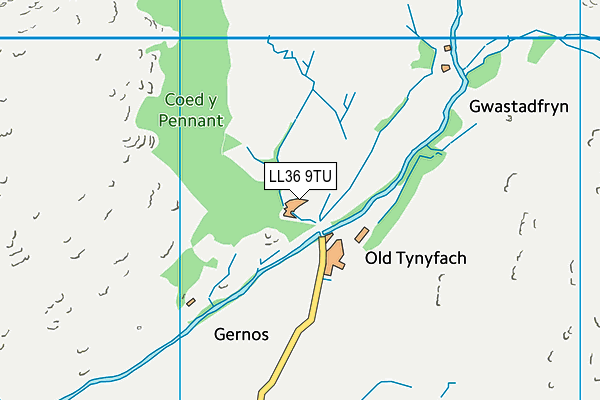 LL36 9TU map - OS VectorMap District (Ordnance Survey)