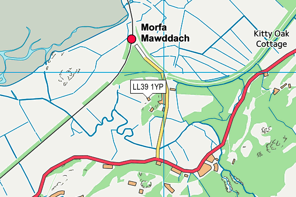 LL39 1YP map - OS VectorMap District (Ordnance Survey)