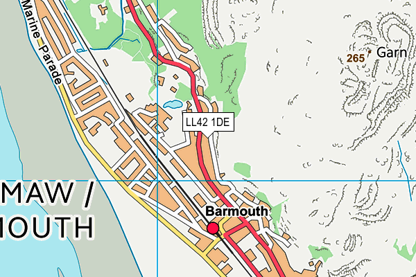 LL42 1DE map - OS VectorMap District (Ordnance Survey)