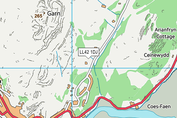 LL42 1DJ map - OS VectorMap District (Ordnance Survey)