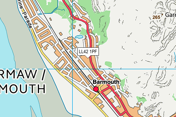 LL42 1PF map - OS VectorMap District (Ordnance Survey)