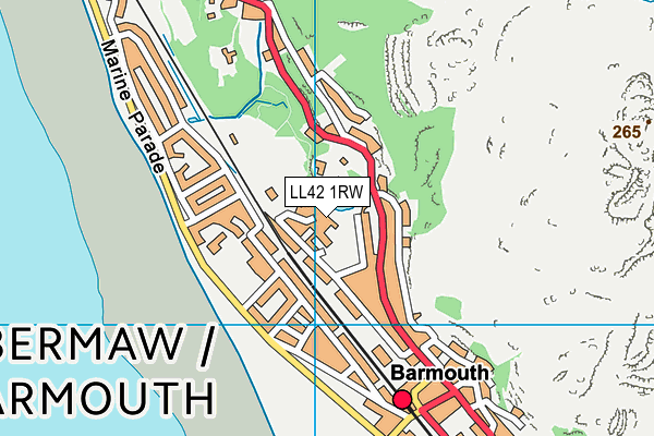 LL42 1RW map - OS VectorMap District (Ordnance Survey)