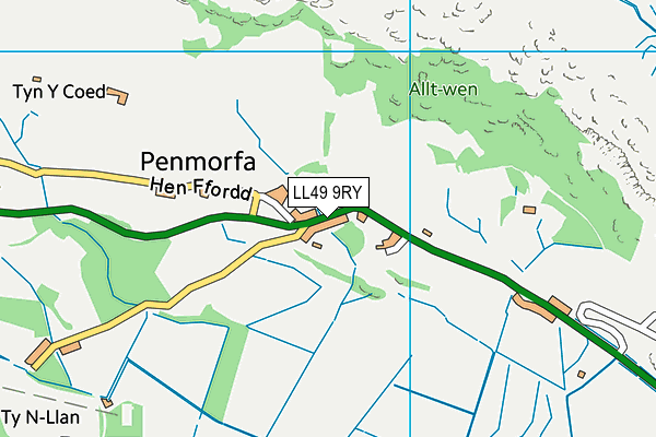LL49 9RY map - OS VectorMap District (Ordnance Survey)