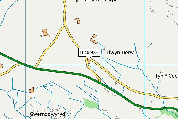 LL49 9SE map - OS VectorMap District (Ordnance Survey)