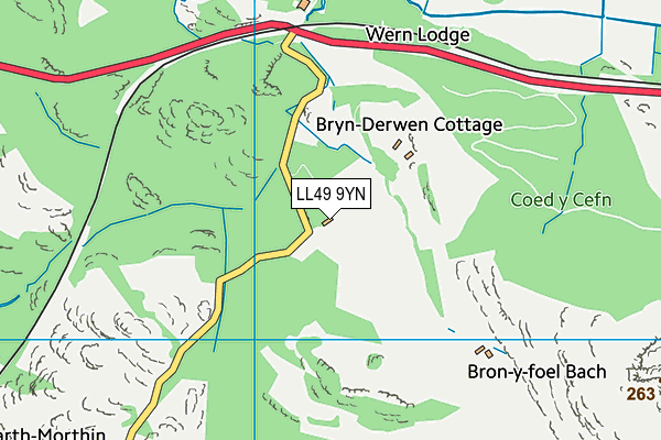 LL49 9YN map - OS VectorMap District (Ordnance Survey)