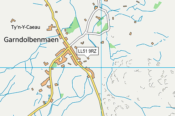 LL51 9RZ map - OS VectorMap District (Ordnance Survey)