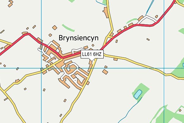 Ysgol Gynradd Brynsiencyn map (LL61 6HZ) - OS VectorMap District (Ordnance Survey)