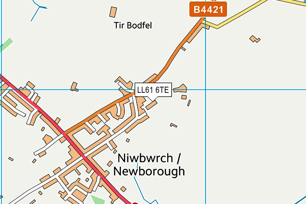 Ysgol Gynradd Niwbwrch map (LL61 6TE) - OS VectorMap District (Ordnance Survey)