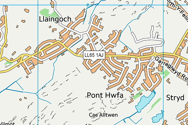 LL65 1AJ map - OS VectorMap District (Ordnance Survey)