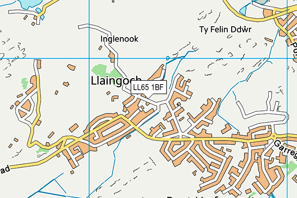 LL65 1BF map - OS VectorMap District (Ordnance Survey)