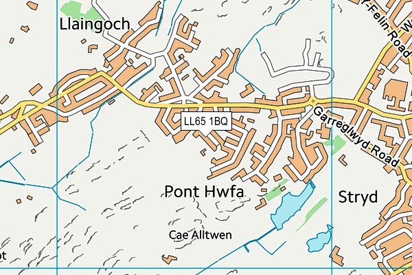 LL65 1BQ map - OS VectorMap District (Ordnance Survey)