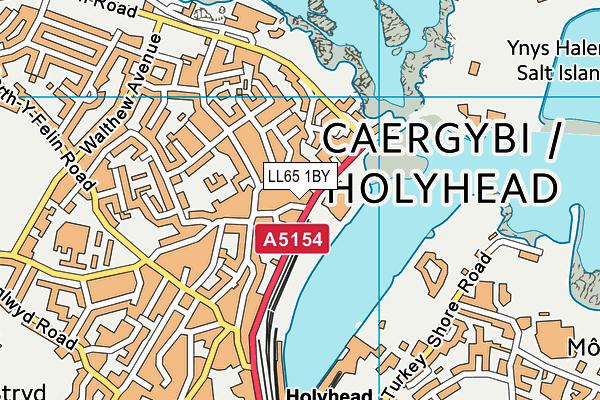 LL65 1BY map - OS VectorMap District (Ordnance Survey)