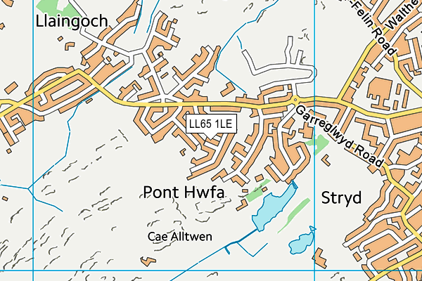 LL65 1LE map - OS VectorMap District (Ordnance Survey)