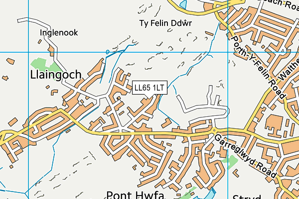 LL65 1LT map - OS VectorMap District (Ordnance Survey)