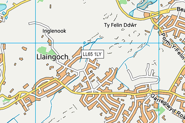 LL65 1LY map - OS VectorMap District (Ordnance Survey)