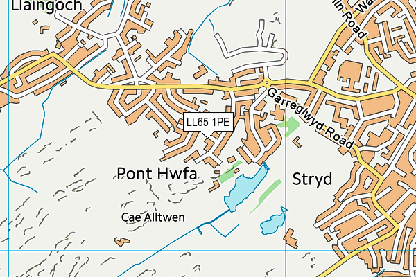 LL65 1PE map - OS VectorMap District (Ordnance Survey)