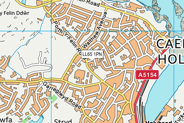 LL65 1PN map - OS VectorMap District (Ordnance Survey)