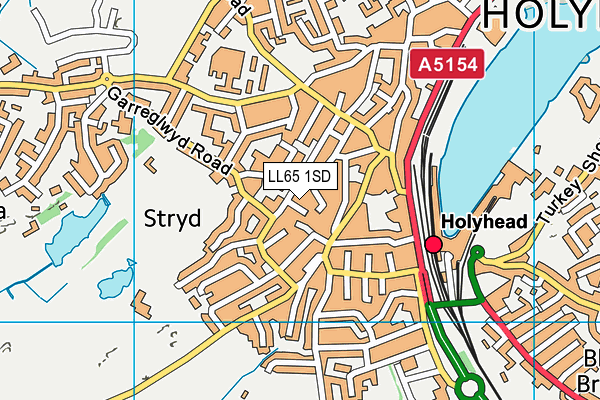 LL65 1SD map - OS VectorMap District (Ordnance Survey)