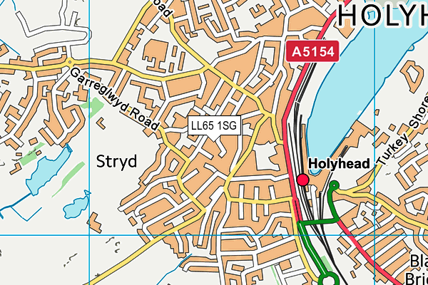 LL65 1SG map - OS VectorMap District (Ordnance Survey)