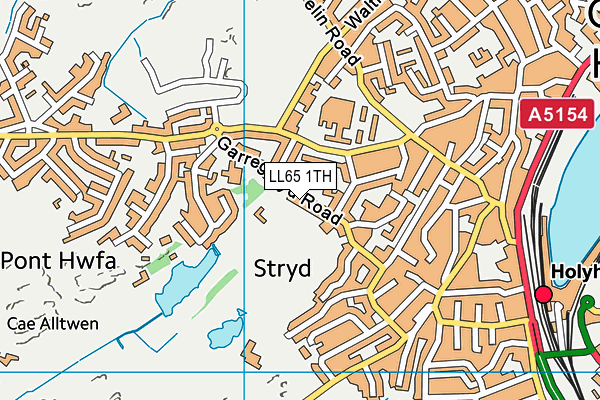 LL65 1TH map - OS VectorMap District (Ordnance Survey)