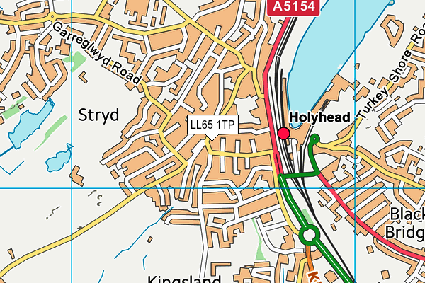 LL65 1TP map - OS VectorMap District (Ordnance Survey)