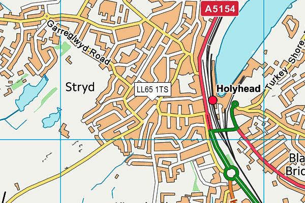 LL65 1TS map - OS VectorMap District (Ordnance Survey)