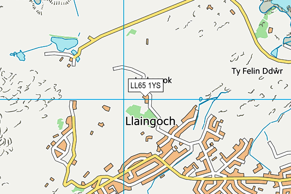 LL65 1YS map - OS VectorMap District (Ordnance Survey)